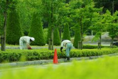 造園作業中